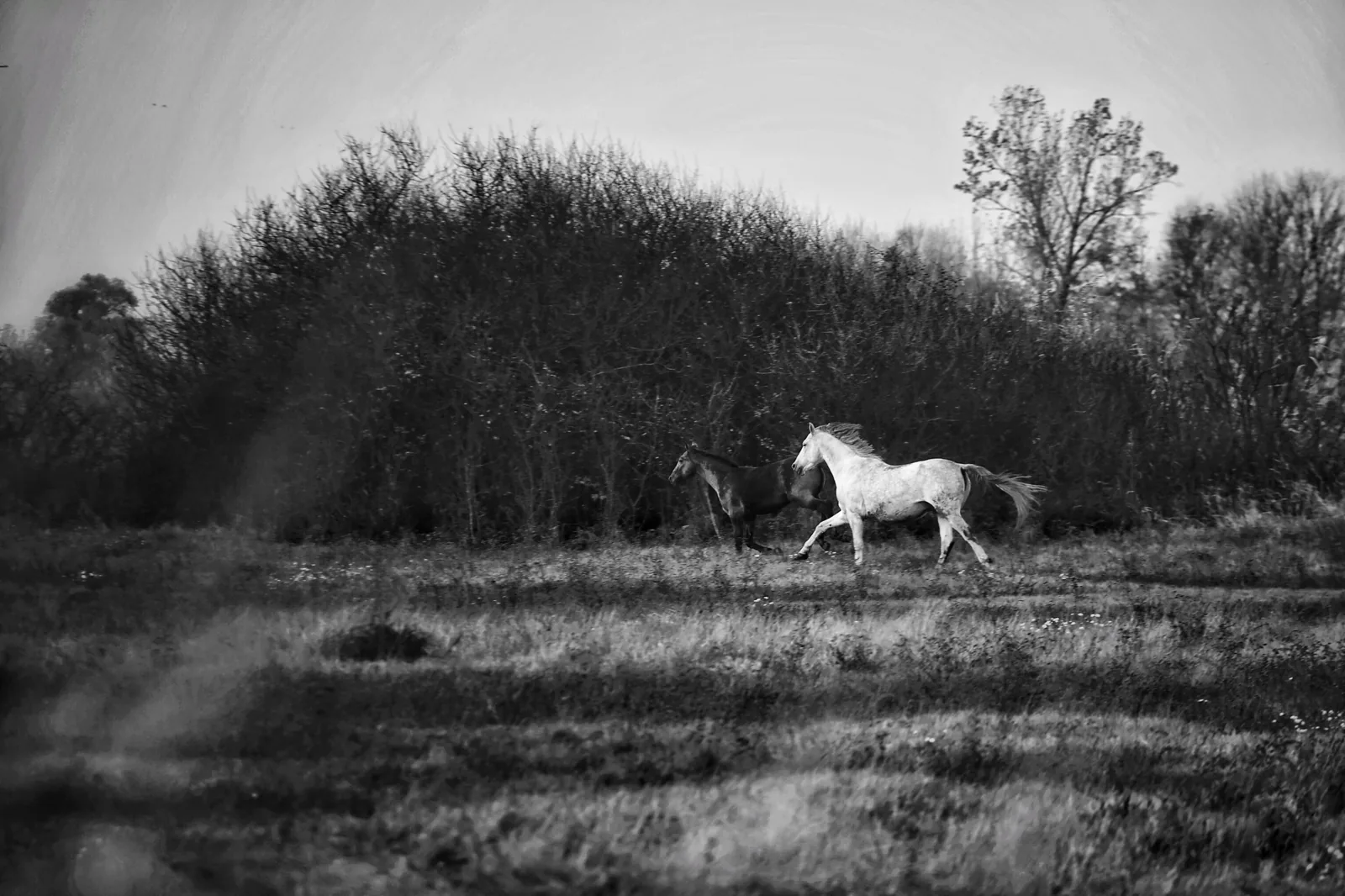 Best of — die Referenzgalerie — Foto: Norbert Banhalmi Best of — die Referenzgalerie — Werke aus der Ausstellung