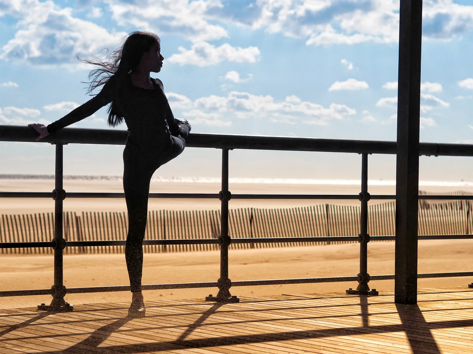 Ballerina Project New York — Strut Your Stuff — Photo: Norbert Banhalmi Ballerina Project New York — Strut Your Stuff — Works from the exhibition