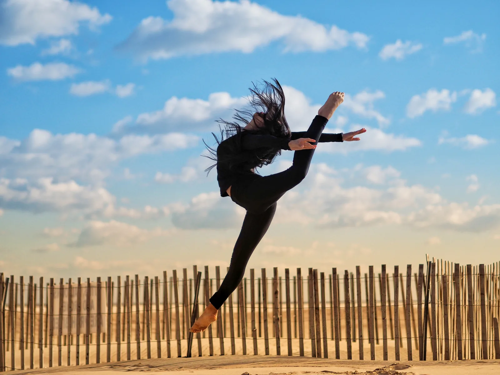 Ballerina Project New York — Strut Your Stuff — Photo: Norbert Banhalmi Ballerina Project New York — Strut Your Stuff — Works from the exhibition