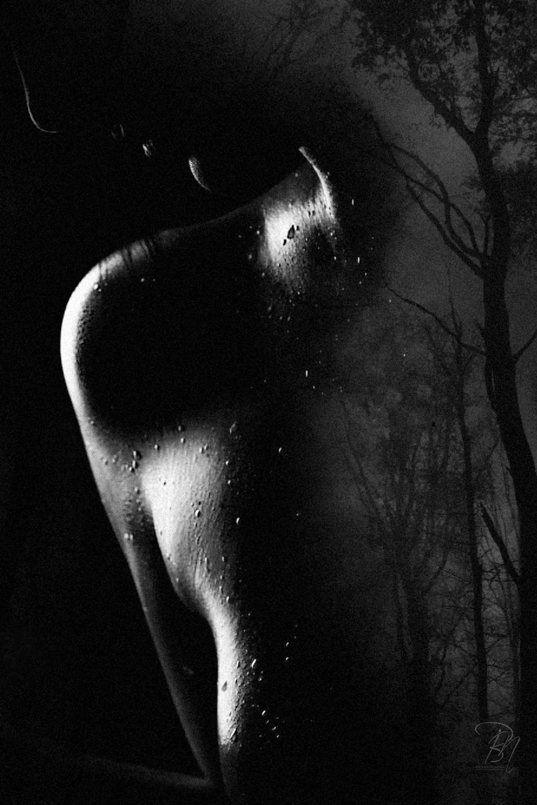 The Frame — 20 év — Fotó: Bánhalmi Norbert The Frame — 20 év — Képek a kiállításról